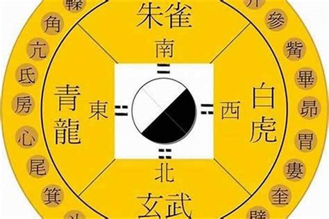 青龙位要放什么|风水论青龙：如何在家布置青龙位？风水大师教你布置青龙位的五。